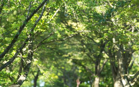 330275656_452369980347955_4088406630375135767_n