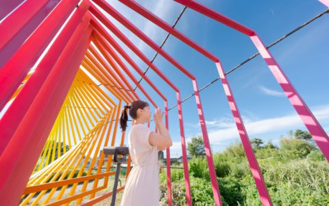 330296675_980306169605724_7120441380060388727_n